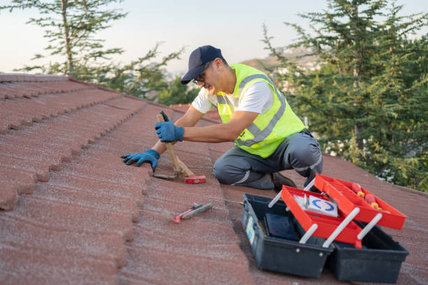 Roof Gutter Cleaning in Gulfport, FL